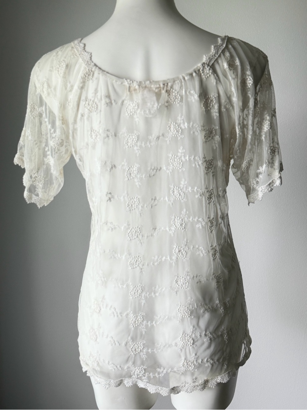 Sheer Ivory Lace Embroidered Flutter-Sleeve Top - Picture 2 of 5